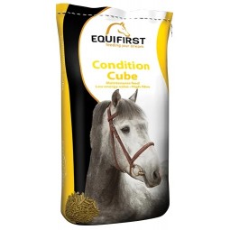EQUIFRIST CONDITION CUBE 20KG