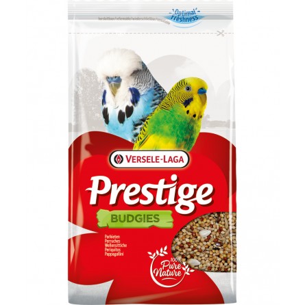 PERRUCHE 4KG PERRUCHE 4KG