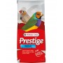EXOTIQUE ELEVAGE 20KG