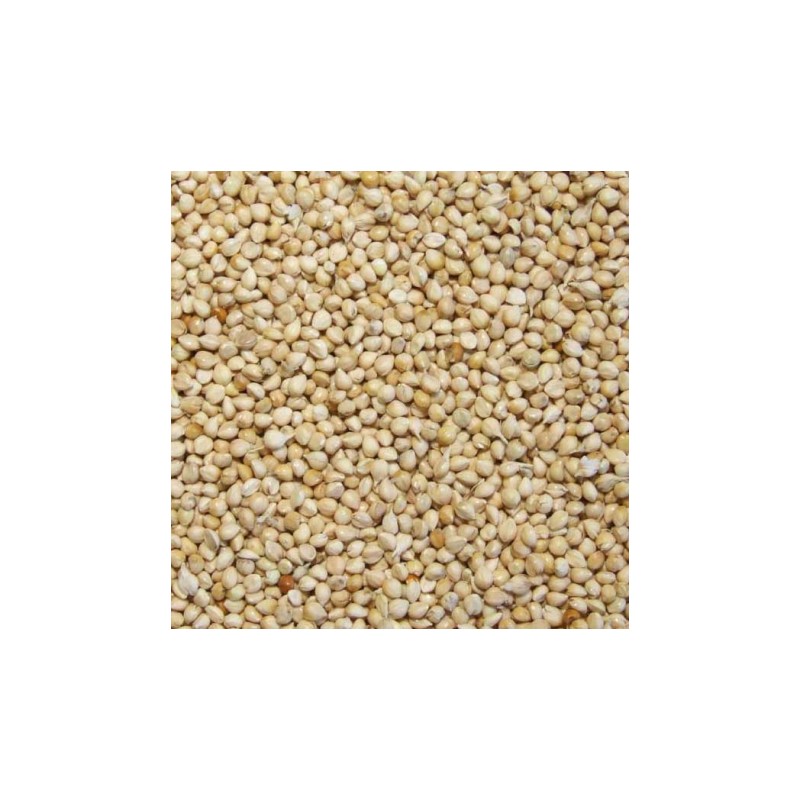 MILLET BLANC 4KG