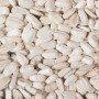 TOURNESOLS BLANC 10KG