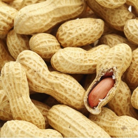 ARACHIDES NON PELEES 11,3KG ARACHIDES NON PELEES 11,3KG
