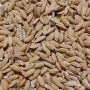 RIZ PADDY 800GR