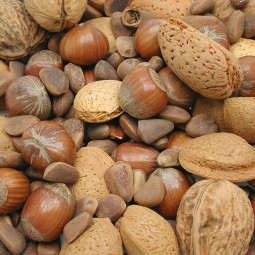 MELANGE DE NOIX EN COQUES 5KG