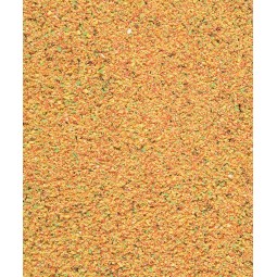 ORLUX - FRUTTI PATEE 5KG